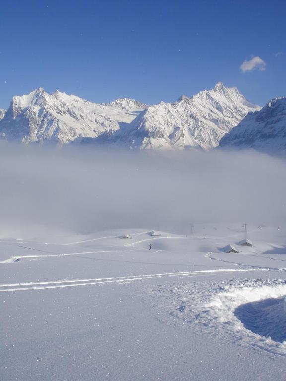 Chalet Asterix Grindelwald Exterior photo