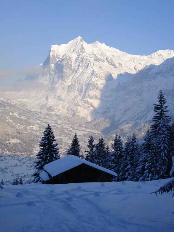Chalet Asterix Grindelwald Exterior photo