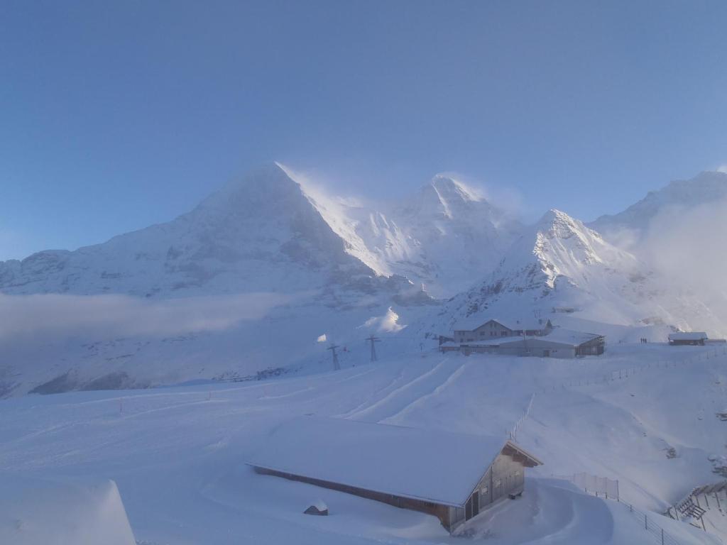 Chalet Asterix Grindelwald Exterior photo